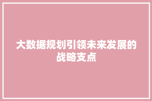 大数据规划引领未来发展的战略支点