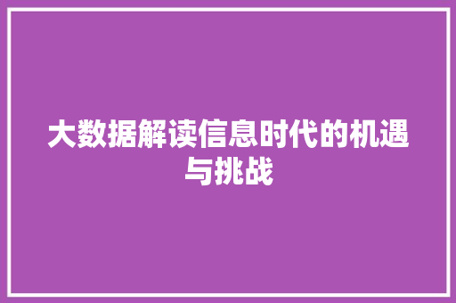 大数据解读信息时代的机遇与挑战