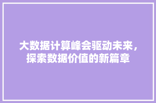 大数据计算峰会驱动未来，探索数据价值的新篇章