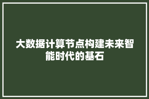 大数据计算节点构建未来智能时代的基石