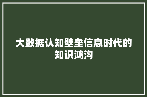 大数据认知壁垒信息时代的知识鸿沟