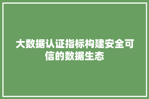 大数据认证指标构建安全可信的数据生态