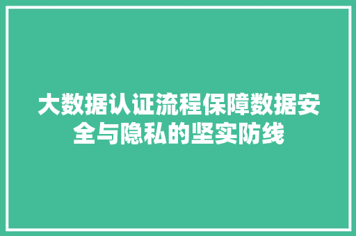 大数据认证流程保障数据安全与隐私的坚实防线