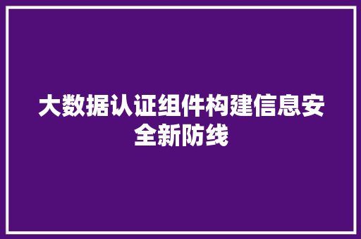 大数据认证组件构建信息安全新防线