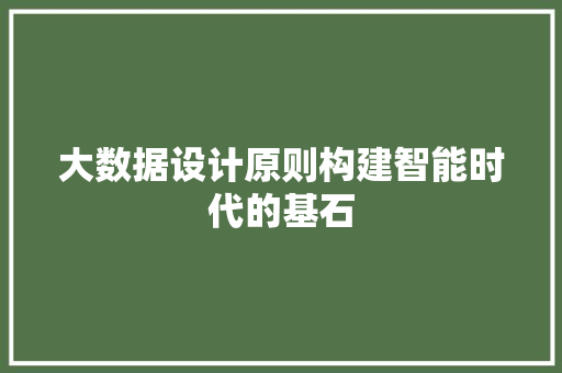 大数据设计原则构建智能时代的基石