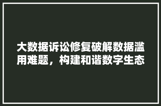 大数据诉讼修复破解数据滥用难题，构建和谐数字生态