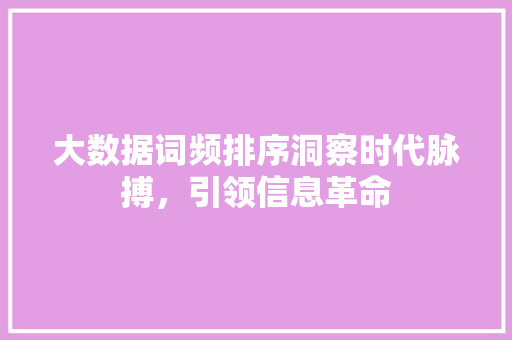 大数据词频排序洞察时代脉搏，引领信息革命