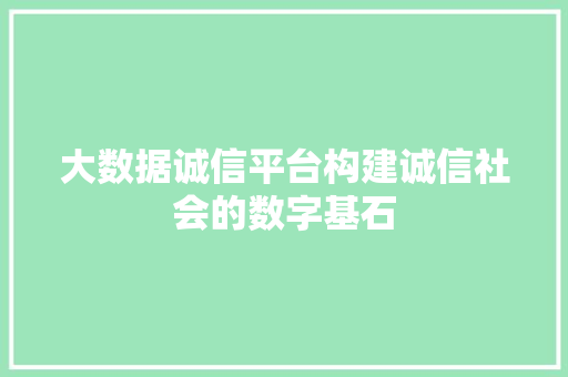 大数据诚信平台构建诚信社会的数字基石
