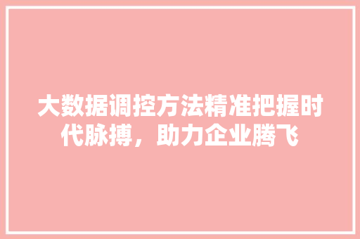 大数据调控方法精准把握时代脉搏，助力企业腾飞