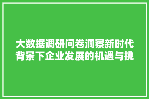 大数据调研问卷洞察新时代背景下企业发展的机遇与挑战