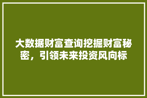 大数据财富查询挖掘财富秘密，引领未来投资风向标