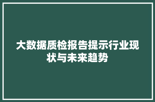大数据质检报告提示行业现状与未来趋势