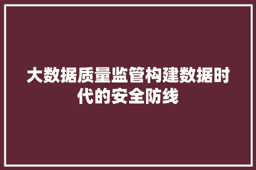 大数据质量监管构建数据时代的安全防线