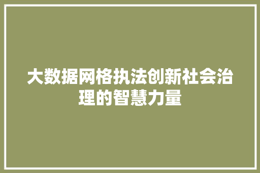 大数据网格执法创新社会治理的智慧力量