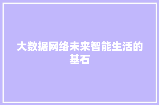 大数据网络未来智能生活的基石
