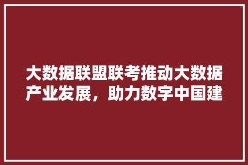 大数据联盟联考推动大数据产业发展，助力数字中国建设