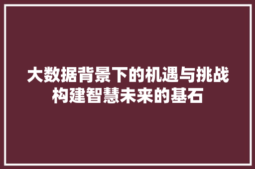 大数据背景下的机遇与挑战构建智慧未来的基石