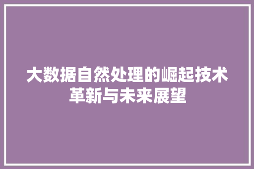大数据自然处理的崛起技术革新与未来展望