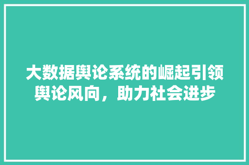 大数据舆论系统的崛起引领舆论风向，助力社会进步