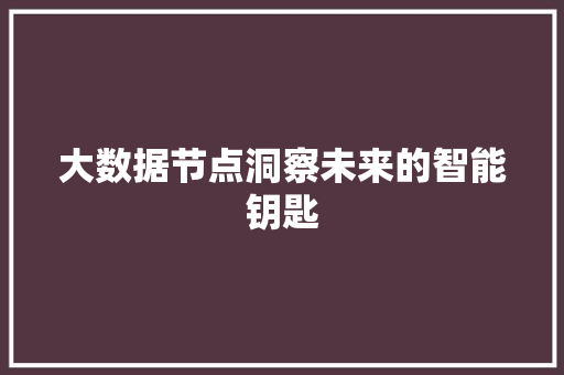 大数据节点洞察未来的智能钥匙