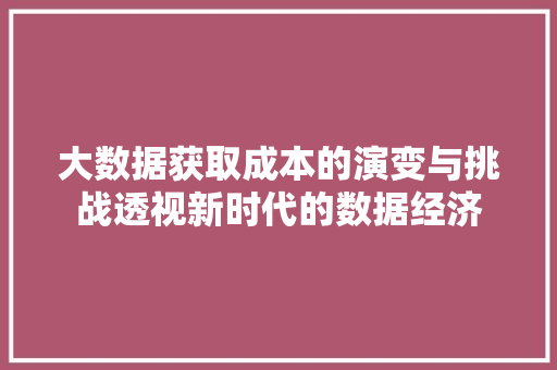 大数据获取成本的演变与挑战透视新时代的数据经济