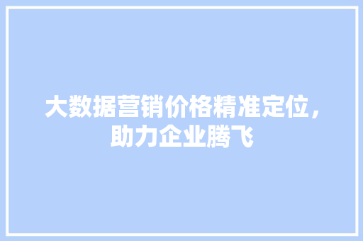 大数据营销价格精准定位，助力企业腾飞