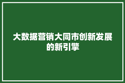 大数据营销大同市创新发展的新引擎