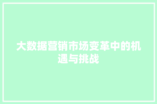 大数据营销市场变革中的机遇与挑战