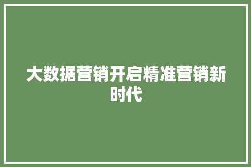 大数据营销开启精准营销新时代