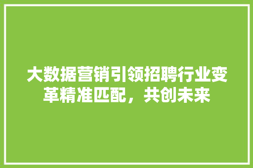 大数据营销引领招聘行业变革精准匹配，共创未来
