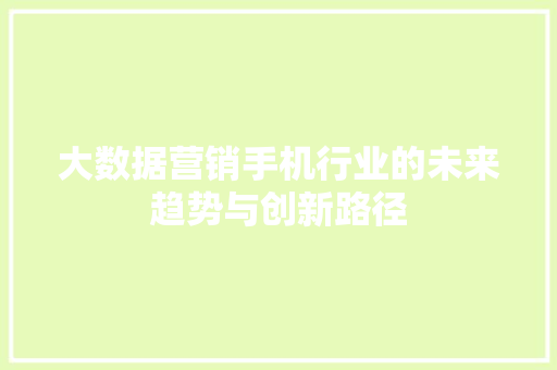 大数据营销手机行业的未来趋势与创新路径