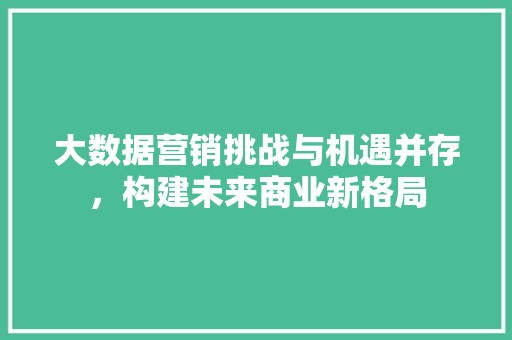 大数据营销挑战与机遇并存，构建未来商业新格局