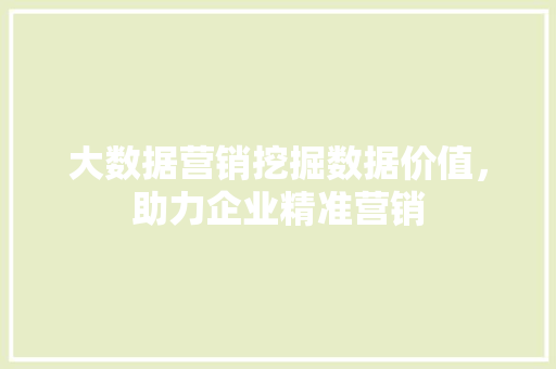 大数据营销挖掘数据价值，助力企业精准营销