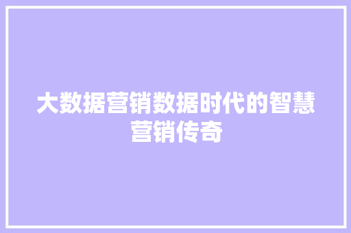 大数据营销数据时代的智慧营销传奇