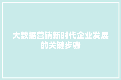 大数据营销新时代企业发展的关键步骤