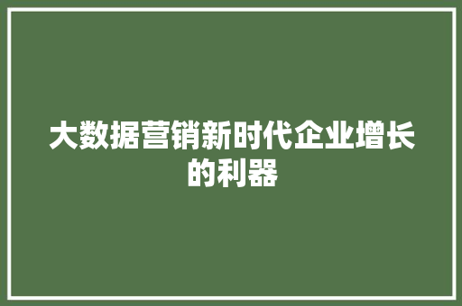 大数据营销新时代企业增长的利器
