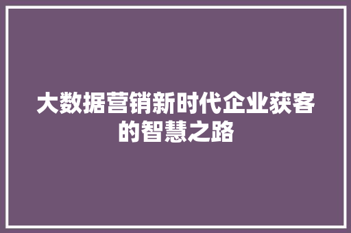 大数据营销新时代企业获客的智慧之路