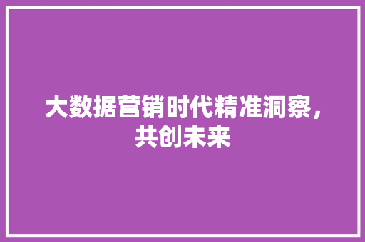 大数据营销时代精准洞察，共创未来