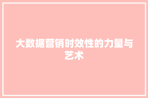 大数据营销时效性的力量与艺术