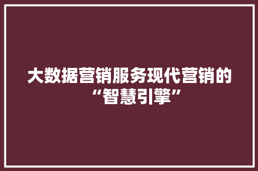 大数据营销服务现代营销的“智慧引擎”