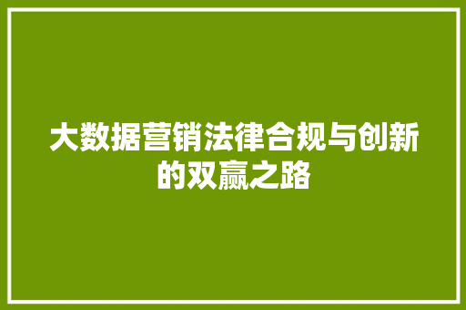 大数据营销法律合规与创新的双赢之路
