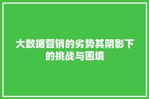 大数据营销的劣势其阴影下的挑战与困境