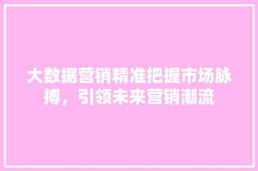 大数据营销精准把握市场脉搏，引领未来营销潮流