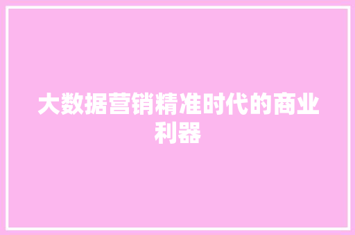 大数据营销精准时代的商业利器