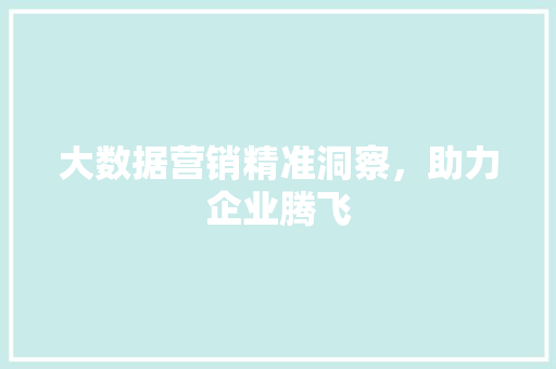 大数据营销精准洞察，助力企业腾飞