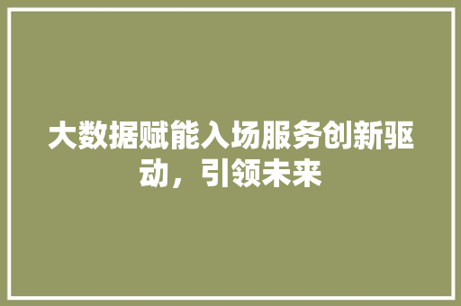 大数据赋能入场服务创新驱动，引领未来
