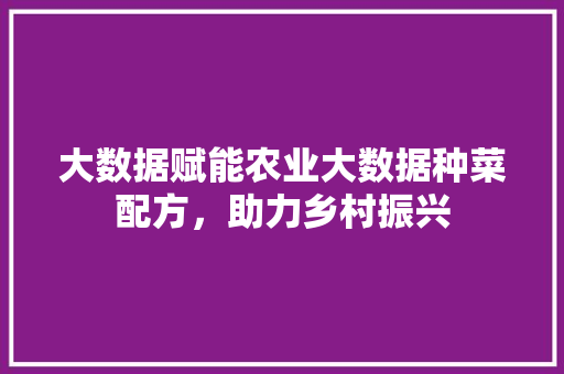 大数据赋能农业大数据种菜配方，助力乡村振兴