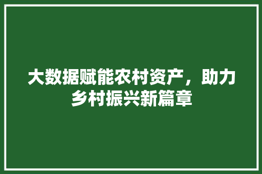 大数据赋能农村资产，助力乡村振兴新篇章