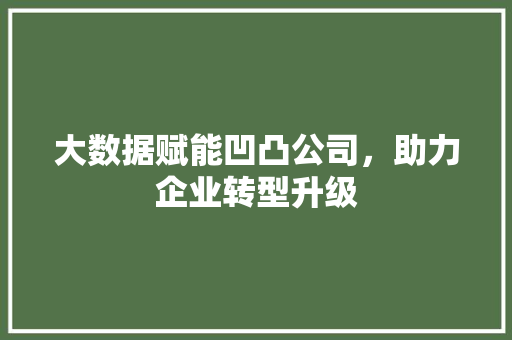 大数据赋能凹凸公司，助力企业转型升级