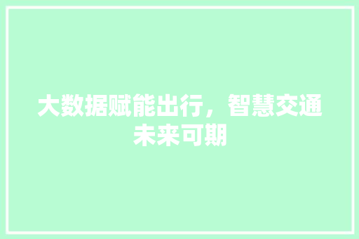 大数据赋能出行，智慧交通未来可期